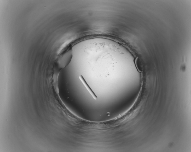 X0000093761210200710231245