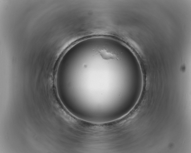 X0000093761212200710231245