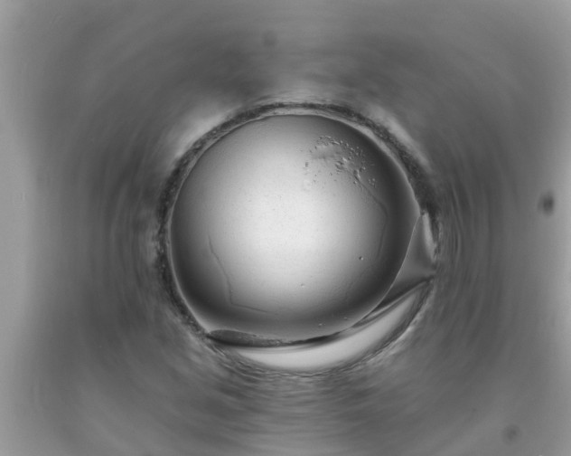 X0000093761213200710231245