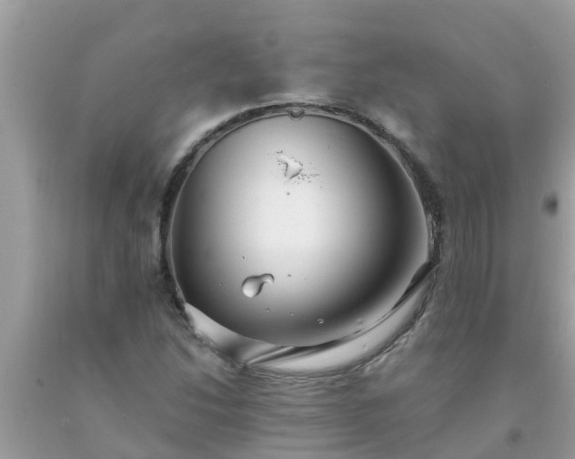 X0000093761214200710231245