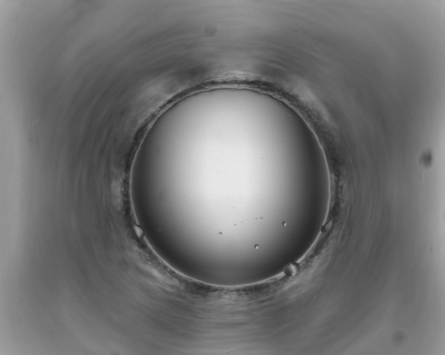 X0000093761217200710231245