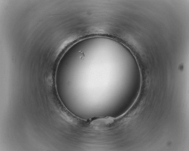 X0000093761218200710231245