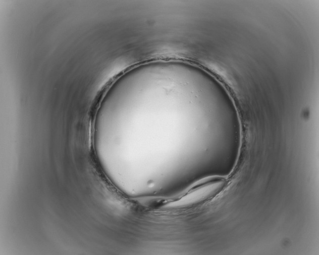 X0000093761219200710231245