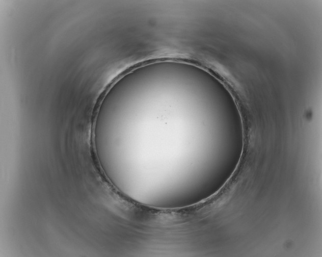 X0000093761220200710231245