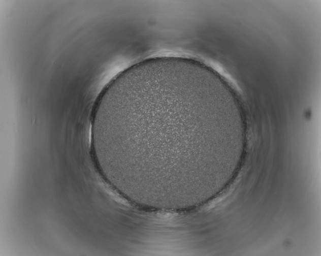 X0000093761221200710231246