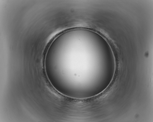 X0000093761222200710231246
