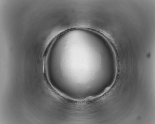 X0000093761223200710231246