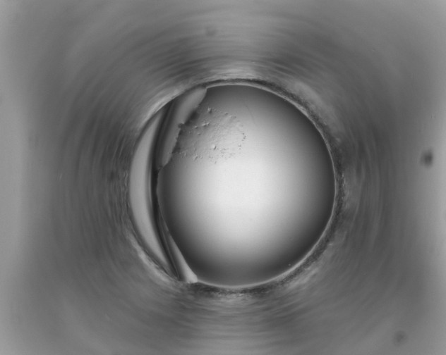 X0000093761225200710231246