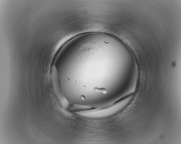 X0000093761230200710231246