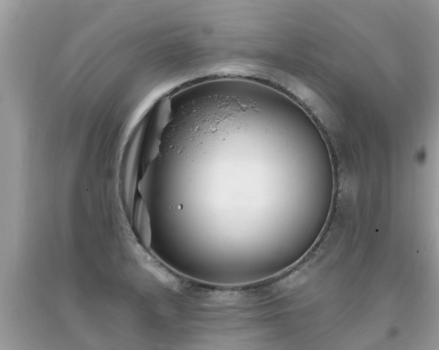 X0000093761232200710231246