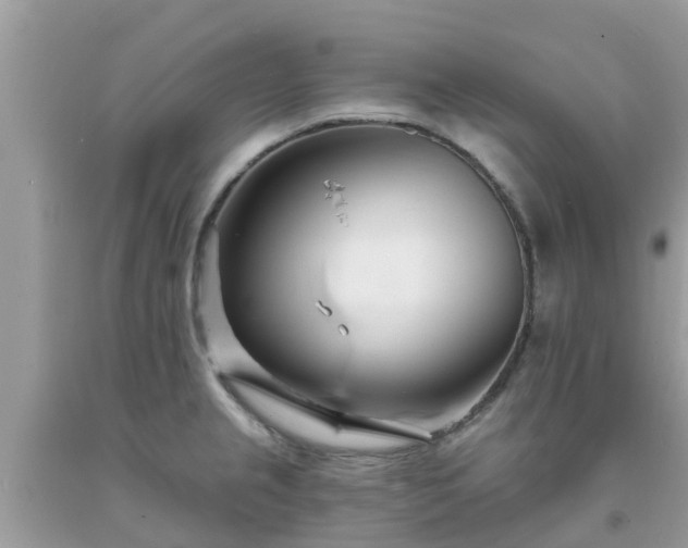 X0000093761237200710231246
