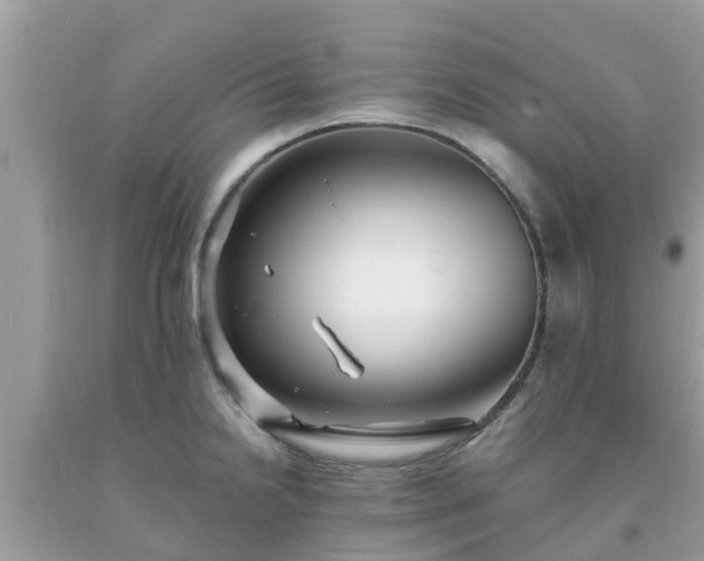X0000093761238200710231246