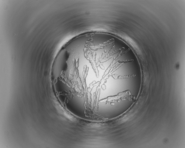 X0000093761240200710231246