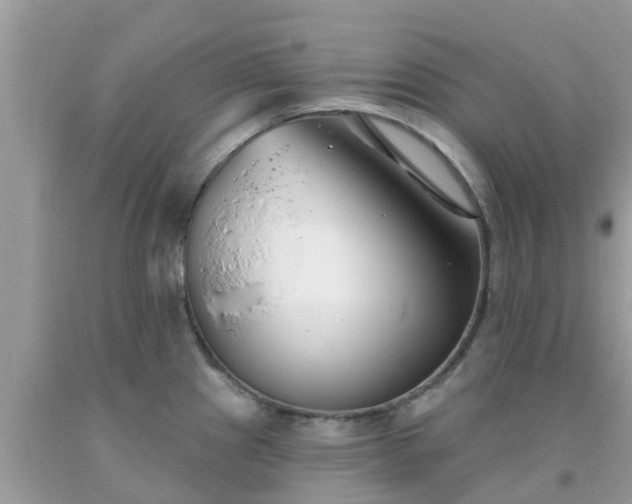 X0000093761241200710231246
