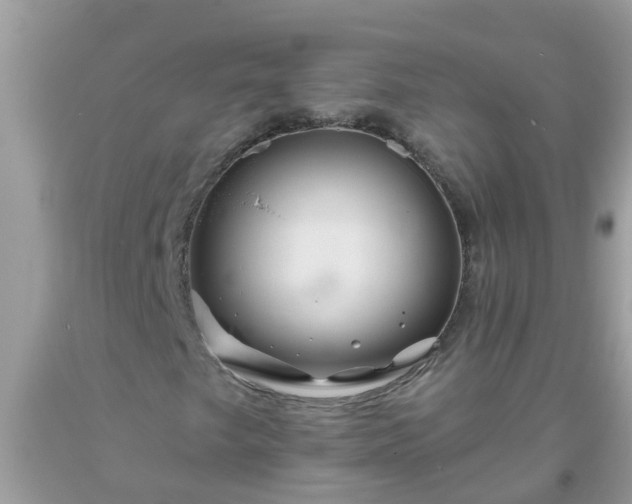 X0000093761249200710231245