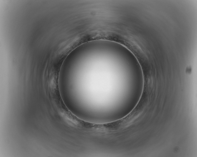 X0000093761250200710231245