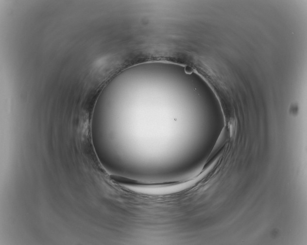 X0000093761251200710231245