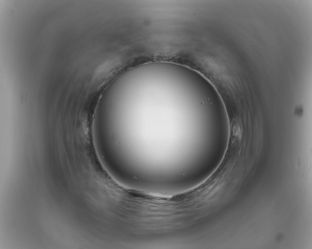 X0000093761252200710231245