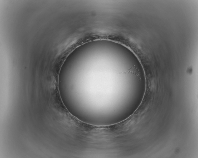 X0000093761253200710231245