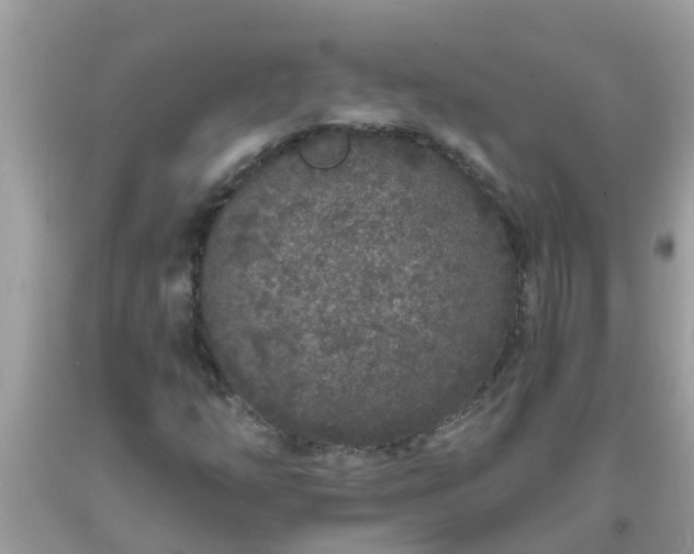 X0000093761254200710231245