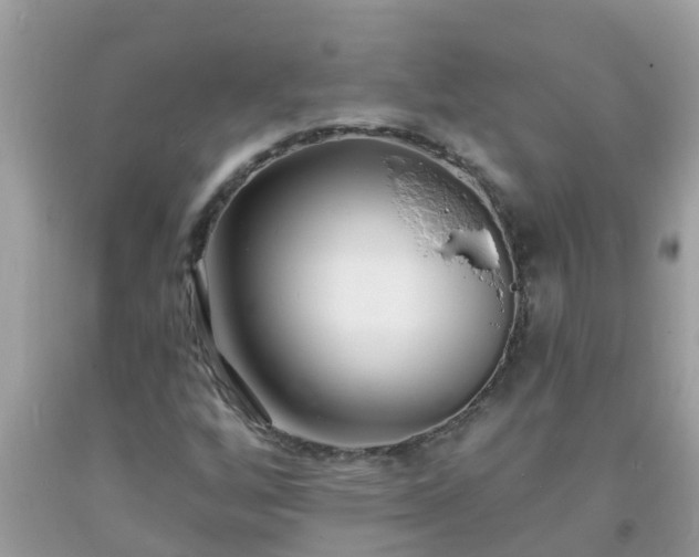 X0000093761256200710231245