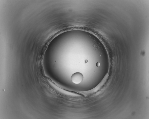 X0000093761257200710231245
