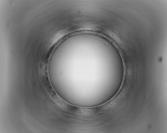 X0000093761258200710231245