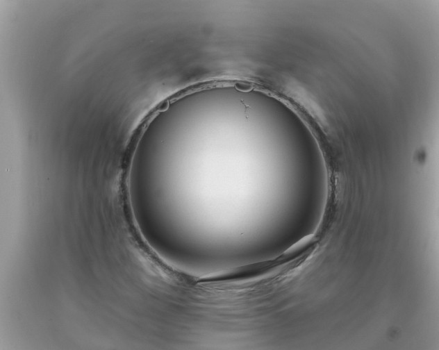 X0000093761260200710231245