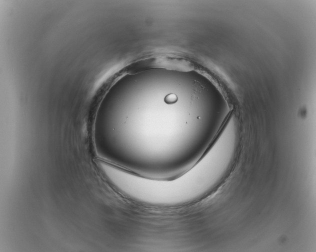 X0000093761261200710231245