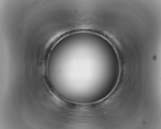 X0000093761262200710231245
