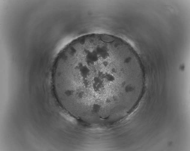 X0000093761263200710231245