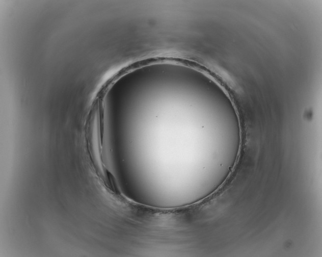 X0000093761264200710231245