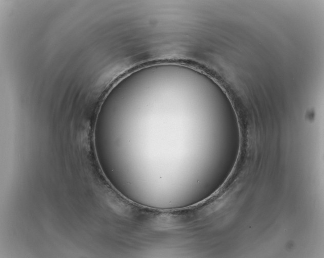 X0000093761265200710231245