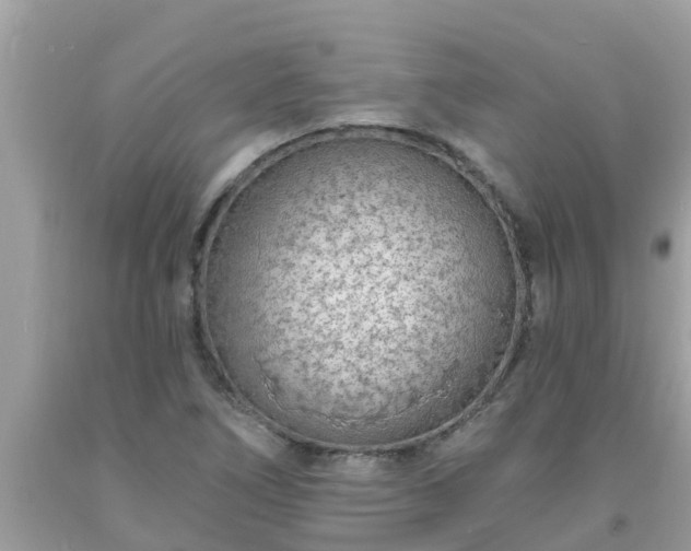 X0000093761266200710231245