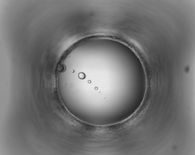 X0000093761267200710231245