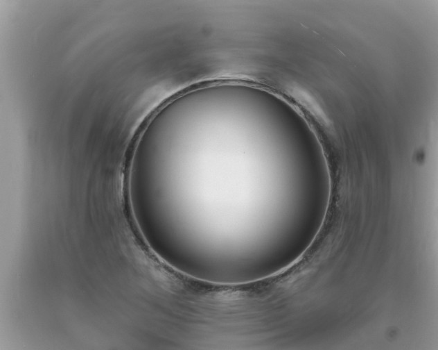 X0000093761268200710231245