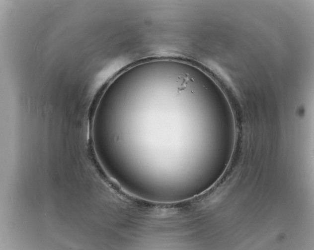 X0000093761269200710231245
