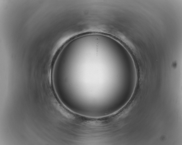 X0000093761272200710231245