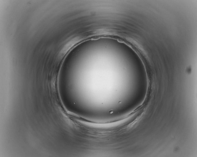 X0000093761273200710231245