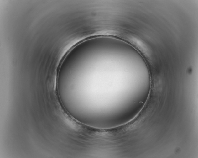 X0000093761276200710231245