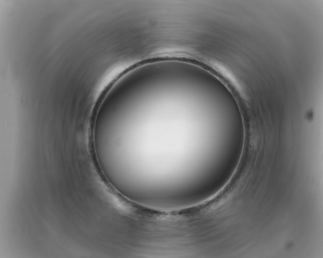 X0000093761277200710231245