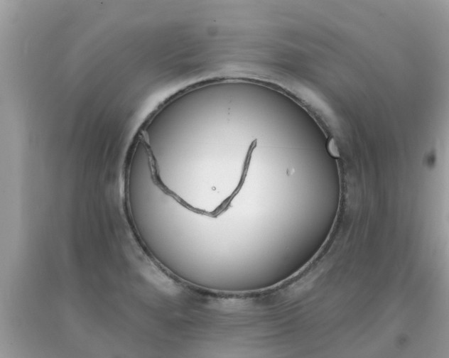 X0000093761280200710231245
