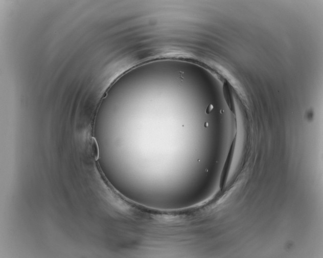 X0000093761281200710231245