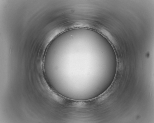 X0000093761282200710231245