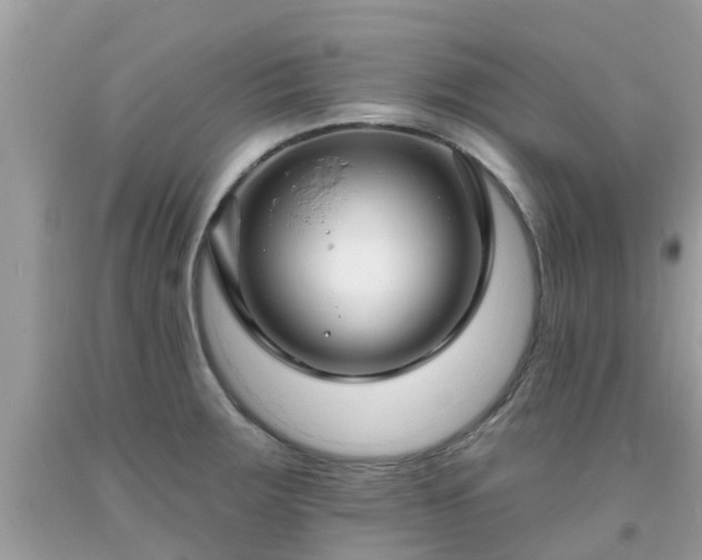 X0000093761283200710231245