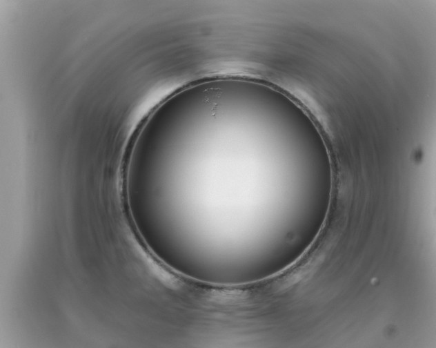X0000093761285200710231245