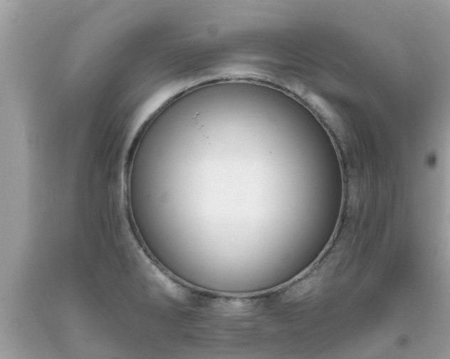 X0000093761286200710231245