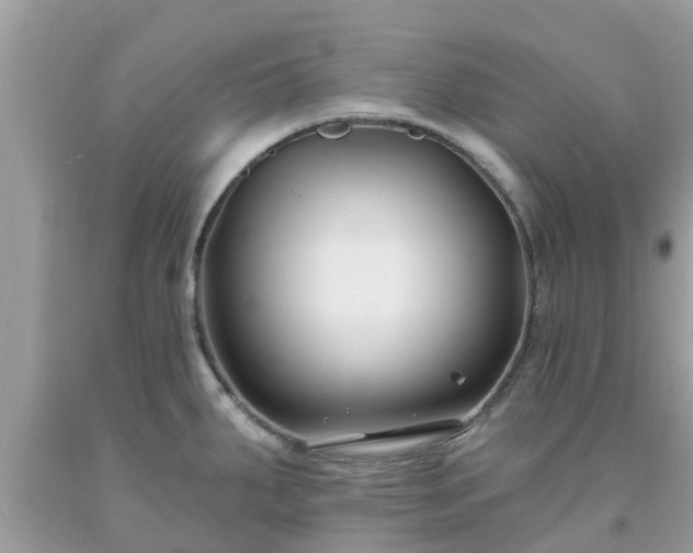 X0000093761287200710231245