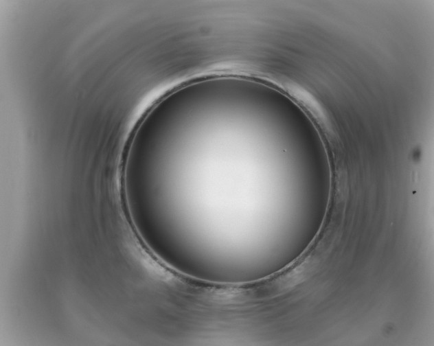 X0000093761288200710231245