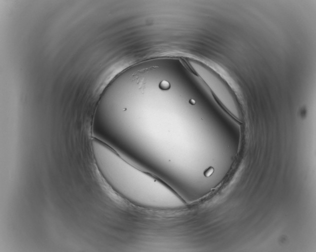 X0000093761289200710231245